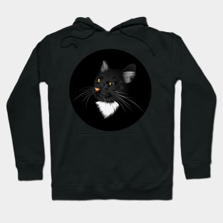 Black cat in the dark Hoodie